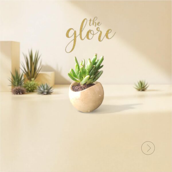 The Glore – Set of 3 | 3” x 2.75” | Eco-Friendly Upcycled Concrete Planters