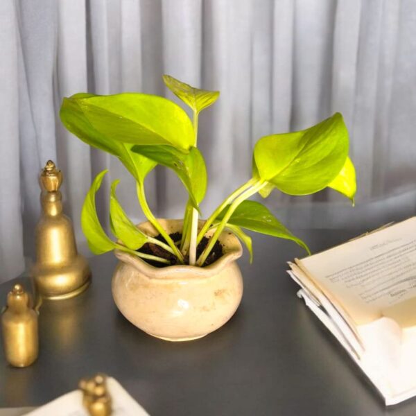 The Jard – Handcrafted | 3.8” x 3.5” | Terracotta | Eco-Friendly Recycled Concrete Planter
