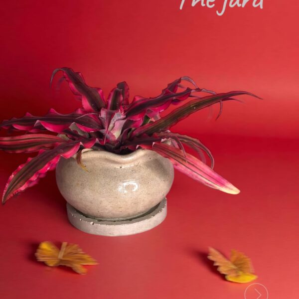 The Jard – Handcrafted | 3.8” x 3.5” | Gray | Eco-Friendly Recycled Concrete Planter Copy