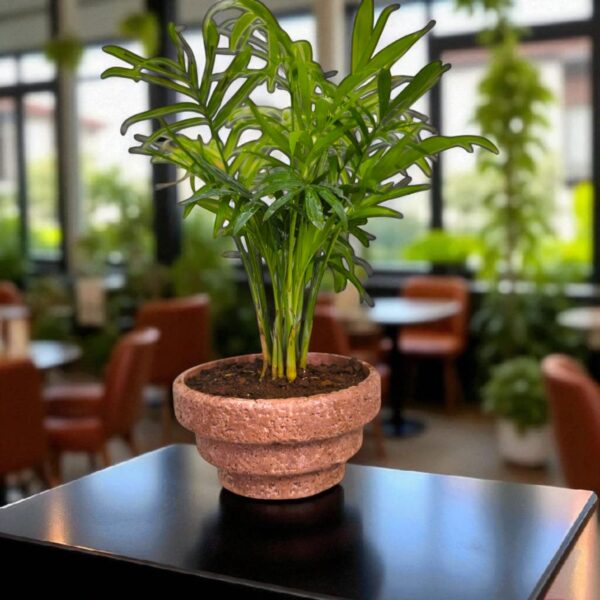 The Tread – Handcrafted | 4.5” x 4.5” x 2.5” | Stepped Concrete Planter | Eco-Friendly & Bold Design