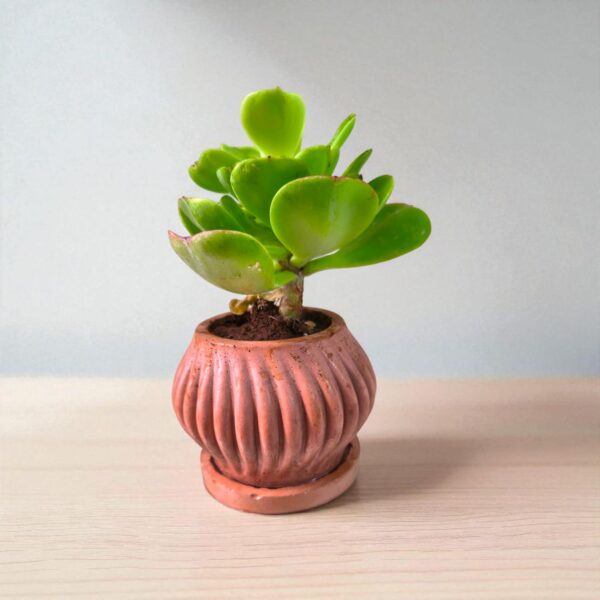 The Striped – Handcrafted | 4” x 4” x 3” | Yellow & Gray | Recycled Concrete Planter | Nordic-Inspired Minimalism