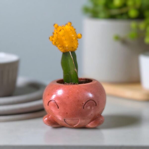 The Mousse – Handcrafted | 4” x 4” x 3” | Gray, Yellow & Terracotta | Eco-Friendly Indoor Planter | Soft-Form Design